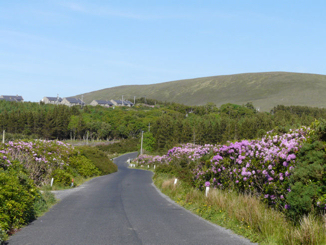 Road to Dugort from Keel